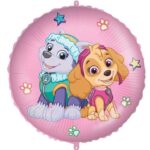 18" Μπαλόνι Skye & Everest