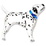 24" Μπαλόνι Σκυλάκι Δαλματίας