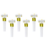 Blowouts Χρυσά Αστεράκια (6 τεμ)