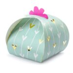 Κουτάκι για δωράκια Κάκτος (10 τεμ)