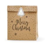 Σακουλάκια για δωράκια Merry Christmas (3 τεμ)
