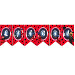 Σημαιάκια με όνομα Miraculous Ladybug