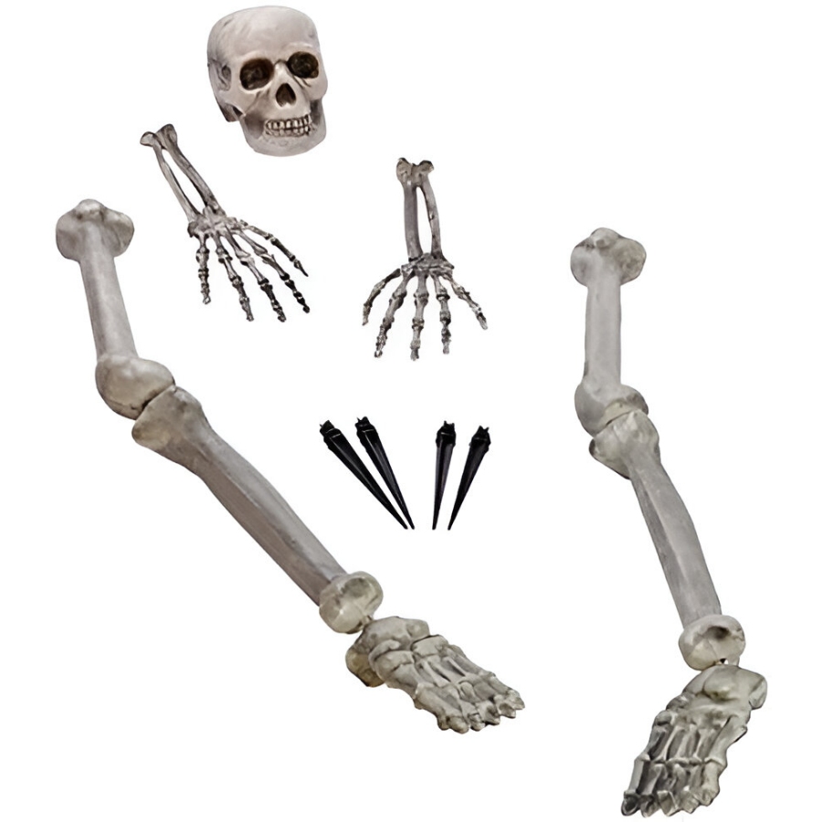 diakosmitikos-skeletos-gia-ton-kipo-_10-tem__1 Διακοσμητικός Σκελετός για τον κήπο (10 τεμ) - Image 1