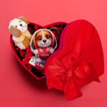 Δώρο για Ζευγάρι - Σκυλάκι Σ' αγαπώ