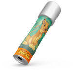 Καλειδοσκόπιο Lion King