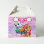 Κουτί Φαγητού - Skye & Everest (3 τεμ)