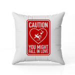 Μαξιλάρι αγάπης Προσχή - you might fall in LOVE
