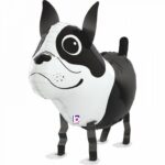 Μπαλόνι Σκυλάκι Boston Terrier που περπατάει
