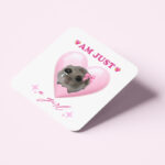 Σουβέρ - Χάμστερ I'm Just a Girl