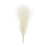 Τεχνητό Pampas Grass κρεμ