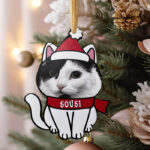 Χριστουγεννιάτικο Στολίδι για κατοικίδιο - Γατούλα